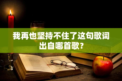 我再也坚持不住了这句歌词出自哪首歌？