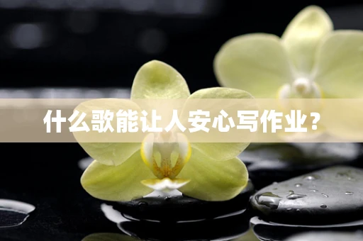 什么歌能让人安心写作业？
