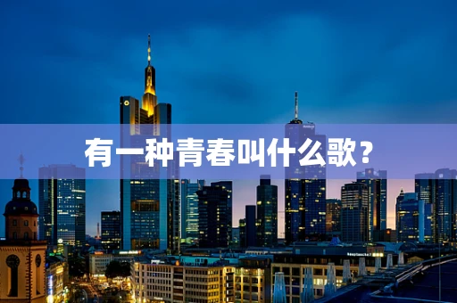 有一种青春叫什么歌？