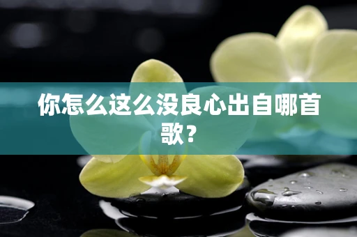 你怎么这么没良心出自哪首歌？