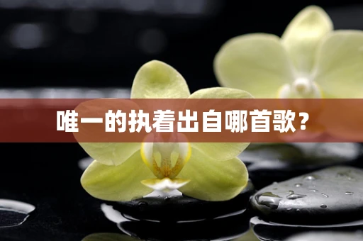 唯一的执着出自哪首歌？