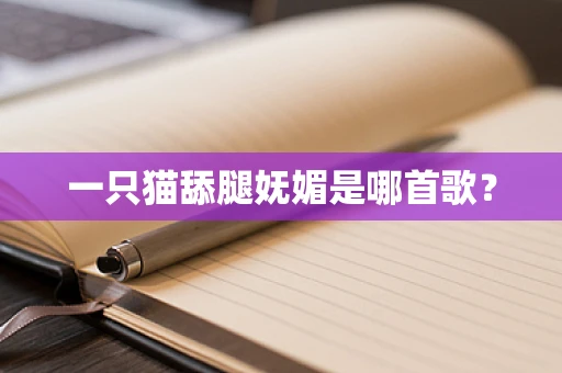 一只猫舔腿妩媚是哪首歌？