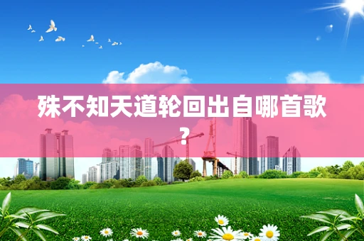 殊不知天道轮回出自哪首歌？