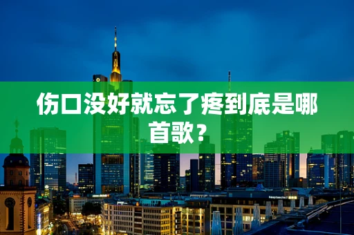 伤口没好就忘了疼到底是哪首歌？