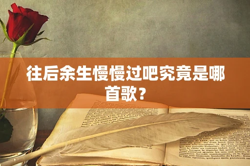 往后余生慢慢过吧究竟是哪首歌？