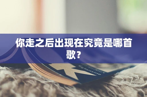 你走之后出现在究竟是哪首歌？