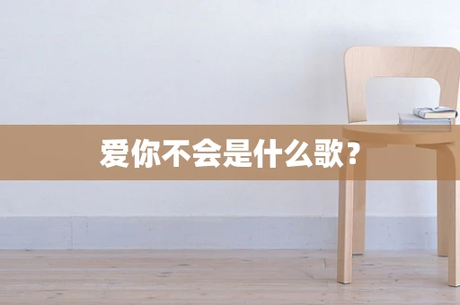 爱你不会是什么歌？