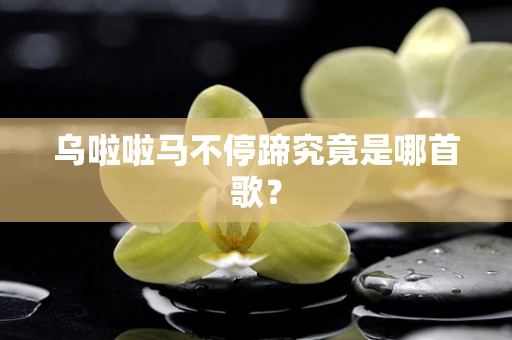 乌啦啦马不停蹄究竟是哪首歌？
