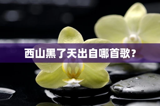 西山黑了天出自哪首歌？