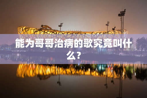 能为哥哥治病的歌究竟叫什么？