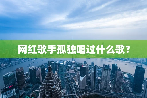 网红歌手孤独唱过什么歌？