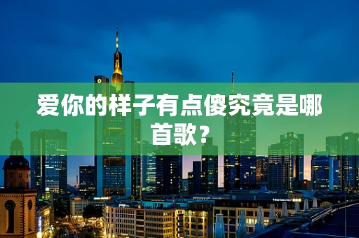 爱你的样子有点傻究竟是哪首歌？