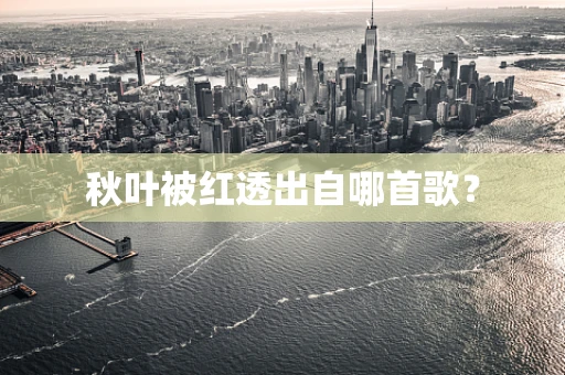 秋叶被红透出自哪首歌？