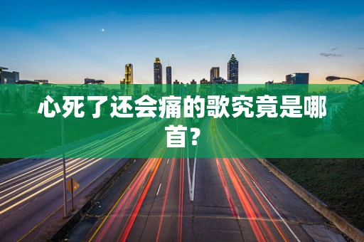 心死了还会痛的歌究竟是哪首？