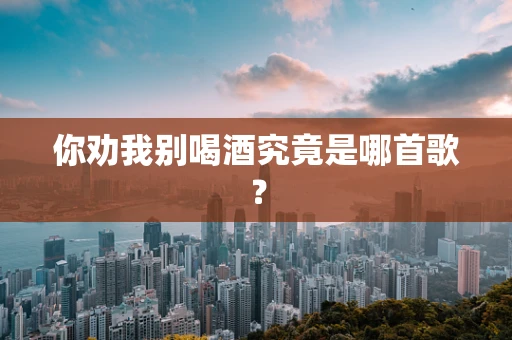 你劝我别喝酒究竟是哪首歌？