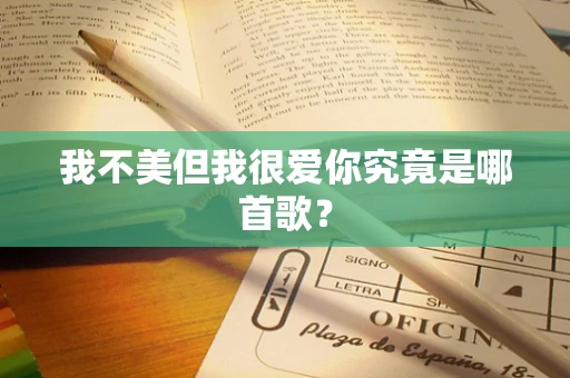 我不美但我很爱你究竟是哪首歌？