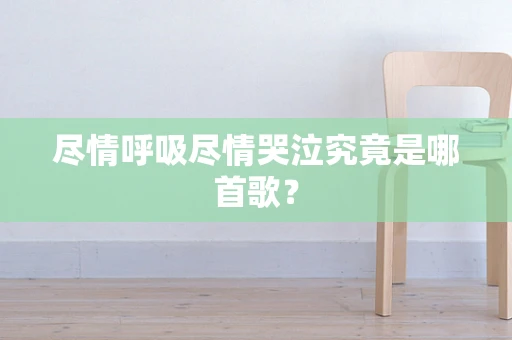 尽情呼吸尽情哭泣究竟是哪首歌？
