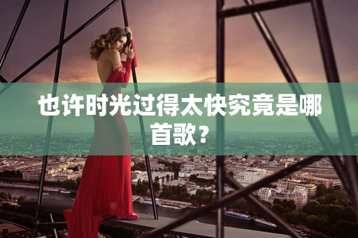 也许时光过得太快究竟是哪首歌？