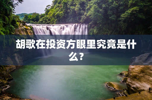 胡歌在投资方眼里究竟是什么？