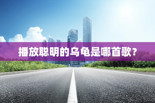 播放聪明的乌龟是哪首歌？