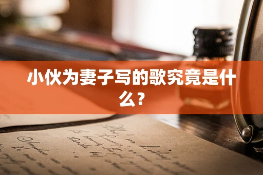 小伙为妻子写的歌究竟是什么？