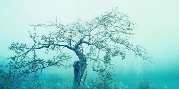叛逆的棱角被磨平究竟是哪首歌？