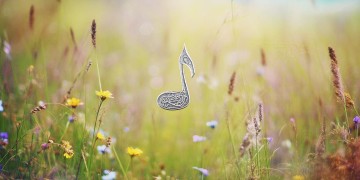 从头再来是哪首歌？