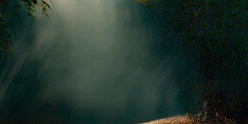 误杀2结尾放的是什么歌？