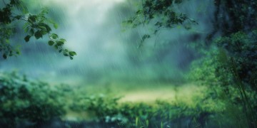清晨的雨是什么颜色是哪首歌？