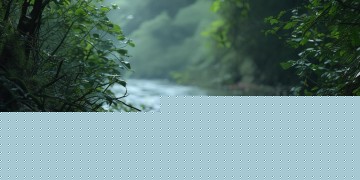 悲伤逆流成河这句歌词出自哪首歌？