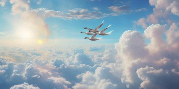 万米高空的爱情究竟是哪首歌？