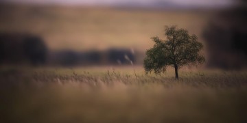思念你的痛谁能懂究竟是哪首歌？