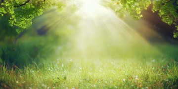 你要永远相信光明出自哪首歌？