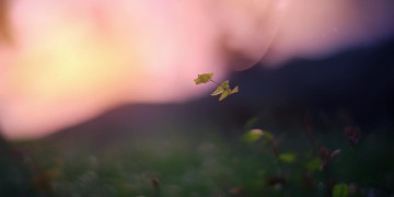 也许是一天也许是出自哪首歌？