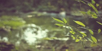 曾经是那么的懦弱出自哪首歌？