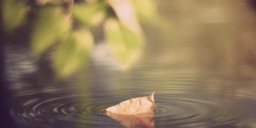 致生活迷茫中的你到底是哪首歌？