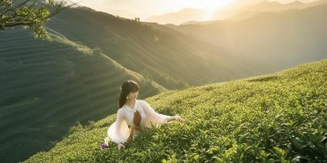 茶山姑娘是首什么歌？