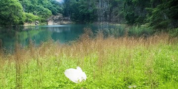 漳州农商银行行歌究竟是什么？