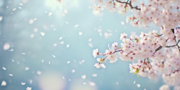 也曾怨过天出自哪首歌？