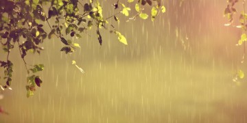 谁陪我遮风挡雨究竟出自哪首歌？