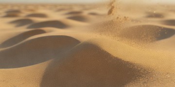 我们都在浮沙挣扎出自哪首歌？
