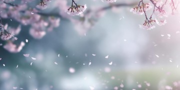 我相信会有一天这句歌词出自哪首歌？