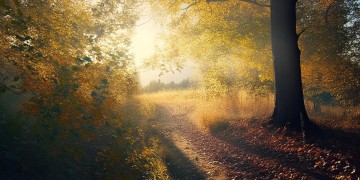 还没说再见的风景究竟是哪首歌？