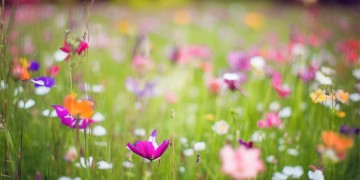 多唱些什么歌才好听呢？