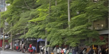 风雨翩翩雨也萧萧究竟出自哪首歌？