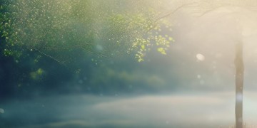 就算分手我也会痛究竟是哪首歌？