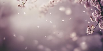 没有爱可以改变吗究竟是哪首歌？