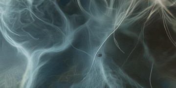 多少人心中的疼出自哪首歌？