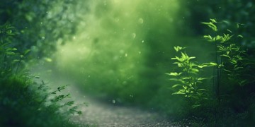 走过见过没遇过究竟是哪首歌？