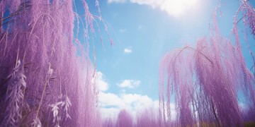 紫薇和小燕子唱过的经典歌曲究竟叫什么？